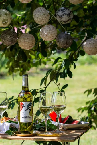 Du Neuf en Gascogne - der perfekte alkoholarme Weißwein für den Sommer Bild: Du Neuf en Gascogne - der perfekte alkoholarme Weißwein für den Sommer