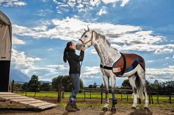 Bild: BEMER auf der EQUITANA 2017