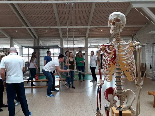 Bild: Geschätzt, geliebt, gefragt: Traumberuf Physiotherapie - „Tag der offenen Tür“ in der VPT-Berufsfachschule