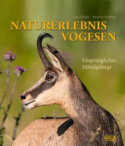Bild: Presseinformation Neuerscheinung: NATURERLEBNIS VOGESEN - Ursprüngliches Mittelgebirge