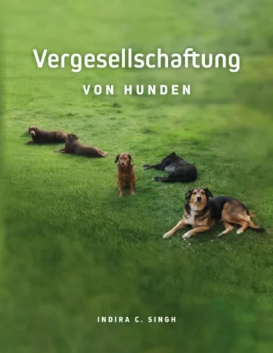 Vergesellschaftung von Hunden - Einblicke in Rudelstellungen Bild: Vergesellschaftung von Hunden - Einblicke in Rudelstellungen