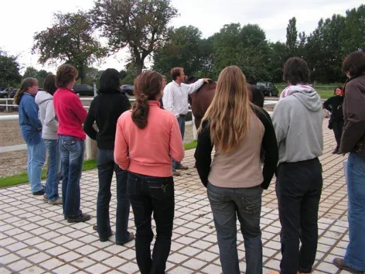 Kostenloser Infotag der Europäischen Pferde Akademie Baden Baden Bild: Kostenloser Infotag der Europäischen Pferde Akademie Baden Baden