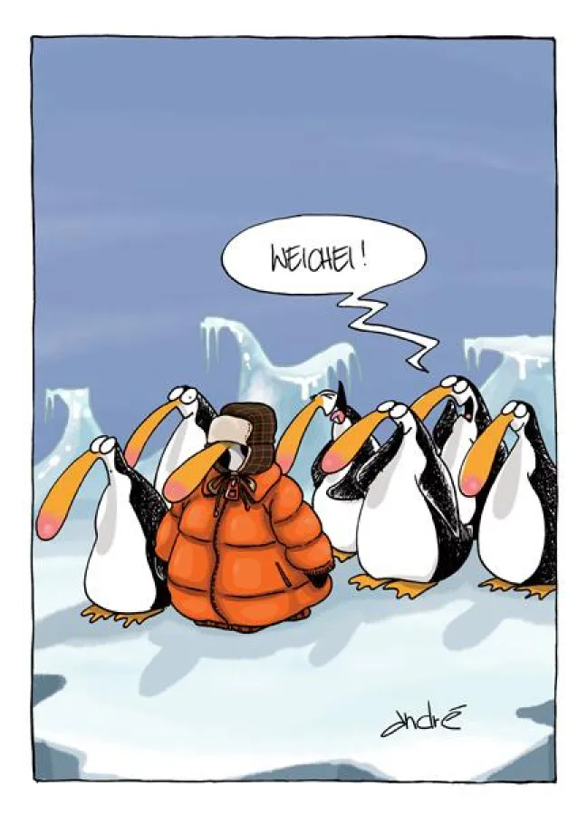 Cartoon von André Sedlaczek