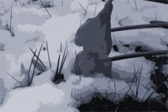 Leitfaden zum Konfliktmanagement Bild: Leitfaden zum Konfliktmanagement