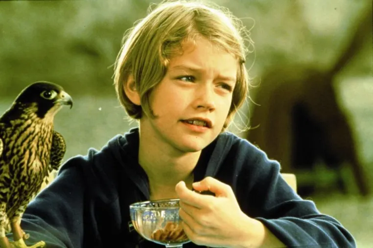 "Katja und der Falke" ist Kinderfilm des Monats April Bild: "Katja und der Falke" ist Kinderfilm des Monats April