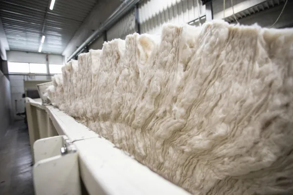 Bild: Wie ökologisch ist unser Geld? Louisenthal setzt auf mehr Nachhaltigkeit bei der Banknotenproduktion