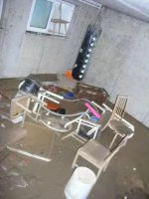 Bild: Mit Wasser und Schlamm kommen Schimmel und Bakterien