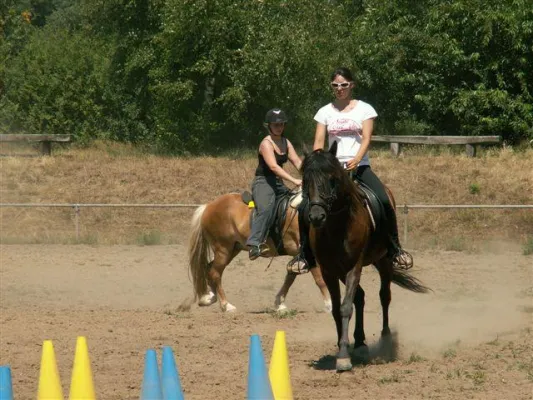 Europäische Pferde Akademie richtet 20 weitere Plätze in Baden Baden ein Bild: Europäische Pferde Akademie richtet 20 weitere Plätze in Baden Baden ein