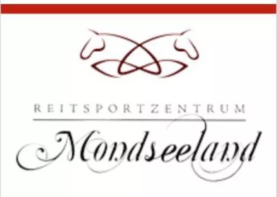 Bild: ‚Am 1.12. 2012 wickelt das Reitsportzentrum Mondseeland große Pferdeversteigerung ab‘