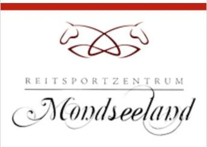 Bild: ‚Am 1.12. 2012 wickelt das Reitsportzentrum Mondseeland große Pferdeversteigerung ab‘