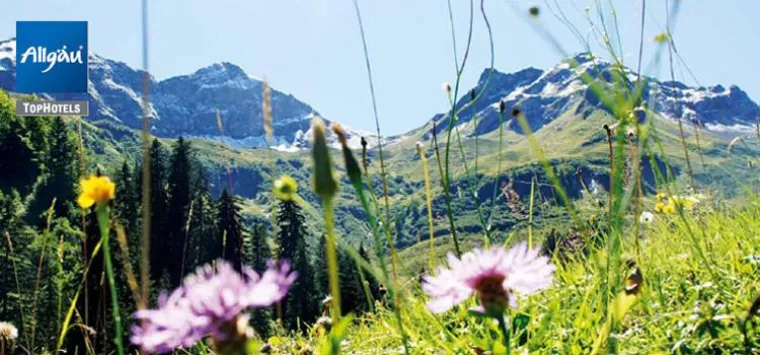 Last Minute Urlaub im Allgäu - jetzt günstig buchen Bild: Last Minute Urlaub im Allgäu - jetzt günstig buchen