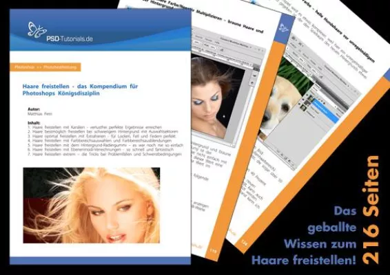 Haare freistellen - Das Kompendium für Photoshops Königsdisziplin als PDF mit 3 Stunden Video-Training Bild: Haare freistellen - Das Kompendium für Photoshops Königsdisziplin als PDF mit 3 Stunden Video-Training