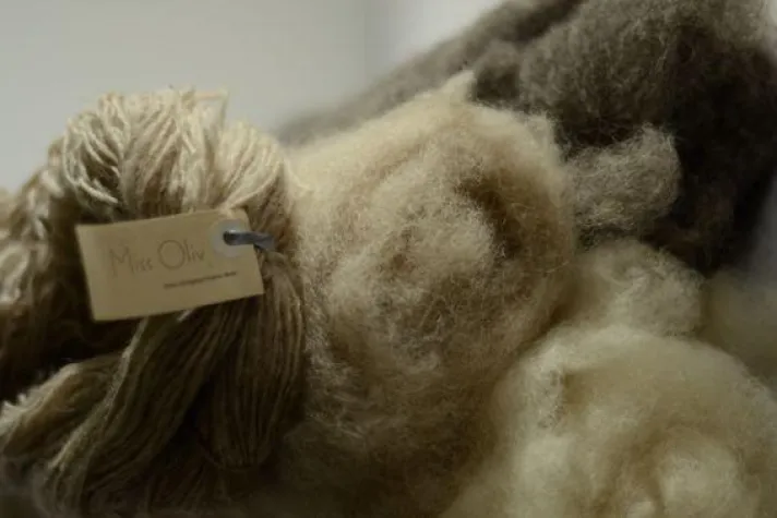 Bild: Wolliges im Schloss