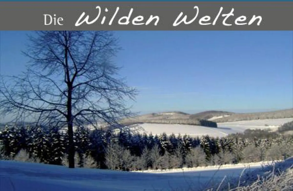 Der Hohe Knochen im Sauerland