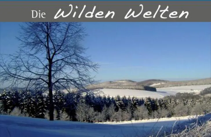 Bild: Der Winter hält Einzug im Sauerland