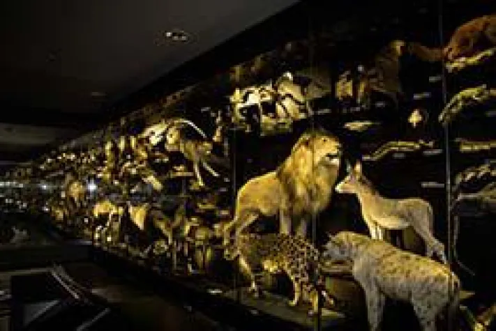 Bild: Neueröffnung von Schaumagazin und Entdeckersaal