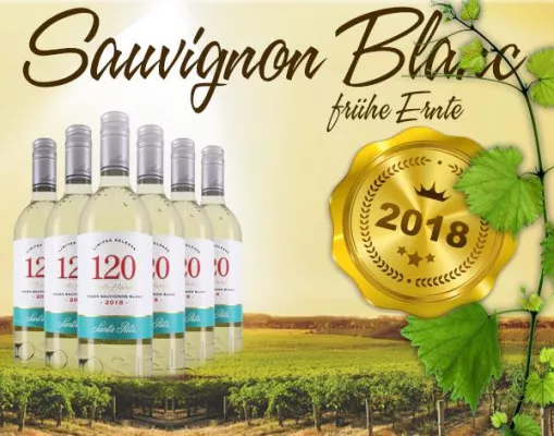 Bild: Frischer Sauvignon Blanc aus der frühen Ernte in Chile