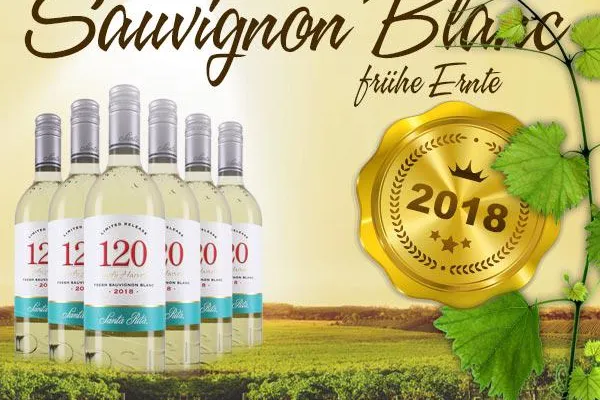 Bild: Frischer Sauvignon Blanc aus der frühen Ernte in Chile