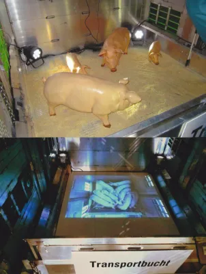 Bild: Raiffeisenverband zeigt sich einsichtig und lernfähig