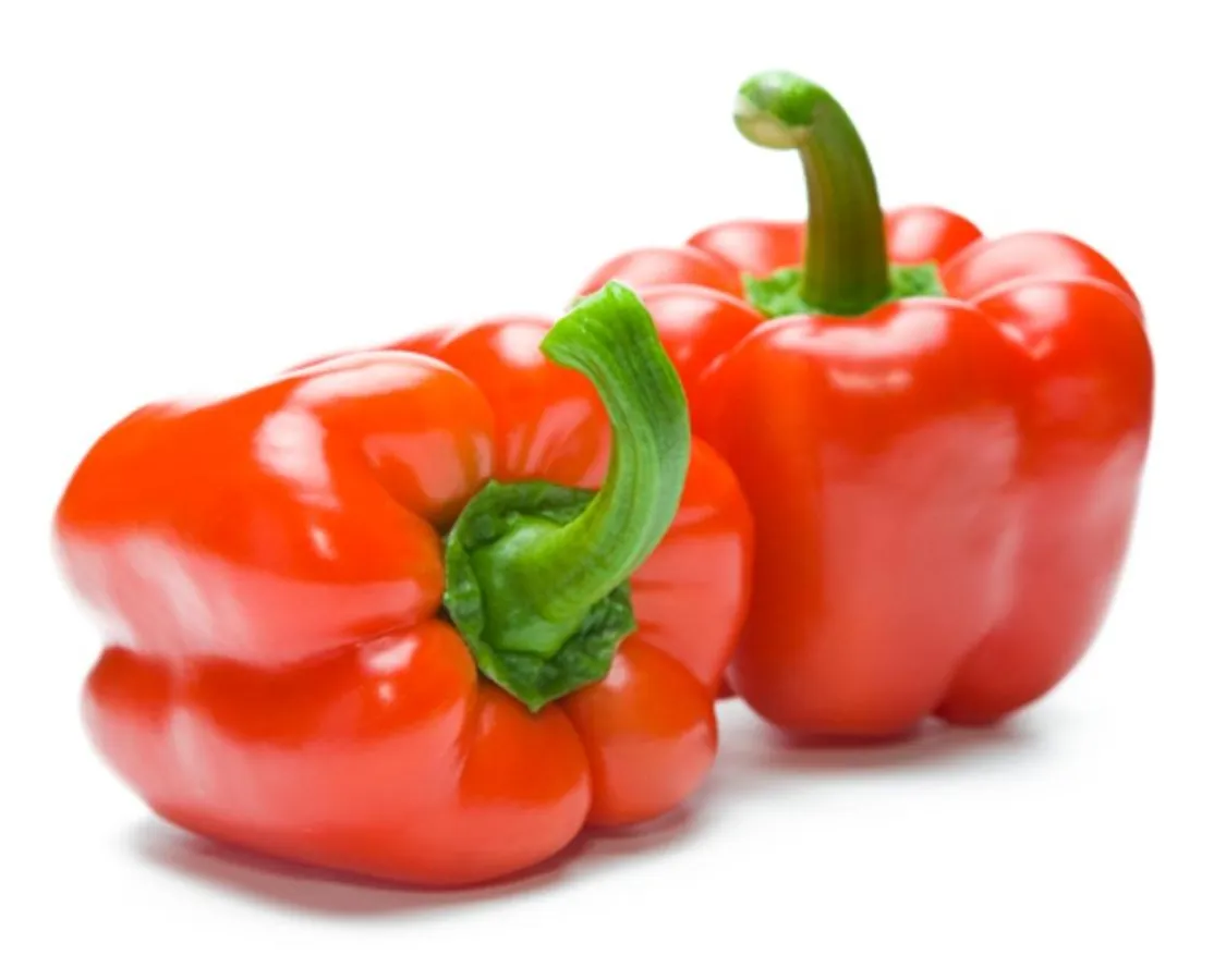 Schädlingsbekämpfung mit natürlichen Nützlingen - Paprika wachsen und gedeihen in Andalusien ohne Pestizide