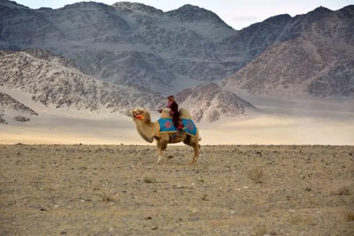 Bild: Einmal durch das Abenteuerland