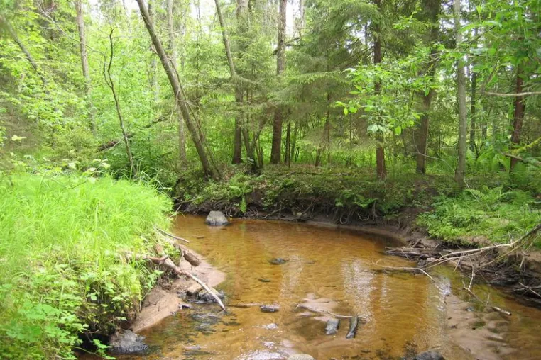 Preservation of floodplains is flood protection Bild: Preservation of floodplains is flood protection