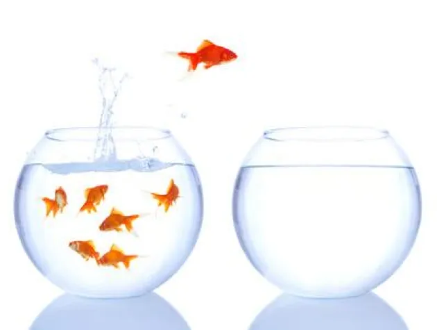 Öffentlichkeitsarbeit nur für große Marken oder auch für kleine Unternehmen? Bild: Öffentlichkeitsarbeit nur für große Marken oder auch für kleine Unternehmen?