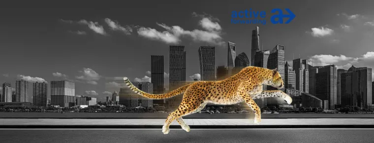 Bild: Schneller denn je – ANYTIME, der neue weltweite Express-Service von active forwarding gmbh