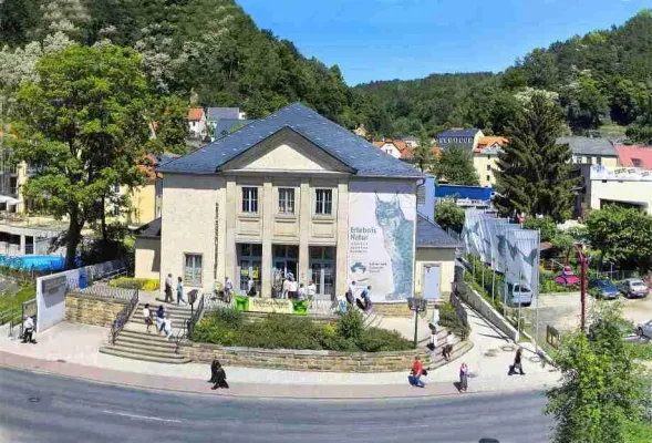 Bild: Mit Baumeister Specht in die Ferien - Halbtagesprogramm in den Sommerferien 2008