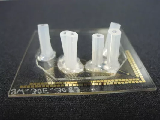 Bild: Biochemiker der Universität Leipzig konstruierten neuen mikrofluidischen Mikroelektroden-Chip