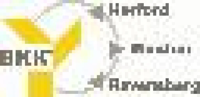 Bild: Eine Einladung zur Darmspiegelung - BKK-Aktionsbündnis gegen Darmkrebs