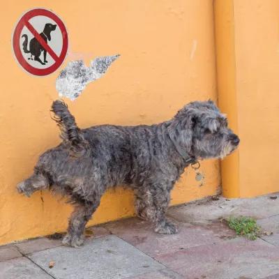 Fotoworkshop „Streetfotografie“ in Hannover mit der Fotoschule des Sehens Bild: Fotoworkshop „Streetfotografie“ in Hannover mit der Fotoschule des Sehens