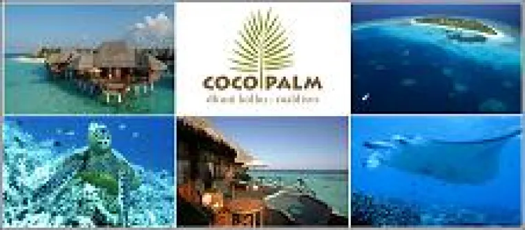 Coco Palm Dhuni Kolhu Bild: Coco Palm Dhuni Kolhu