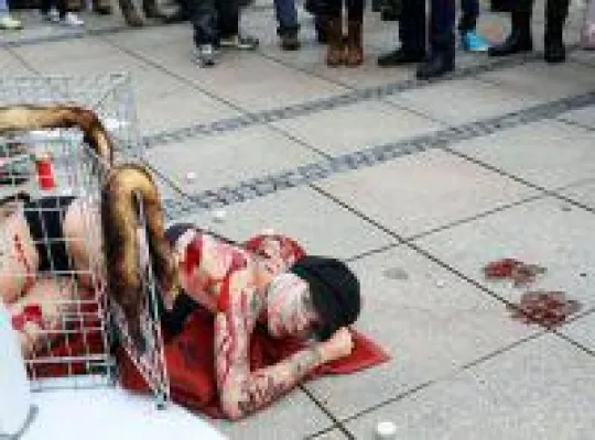 Bild: Anti-Pelz-Aktionen vor Breuninger in Stuttgart: Tattoo Model Sandy P. Peng demonstriert im Käfig vor War