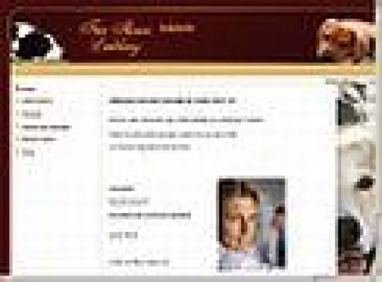 Agentur für neue Medien erschließt hiermit neues Umfeld der Tierbedarf-Shop -integriert mit Shoppartnerlösung Bild: Agentur für neue Medien erschließt hiermit neues Umfeld der Tierbedarf-Shop -integriert mit Shoppartnerlösung