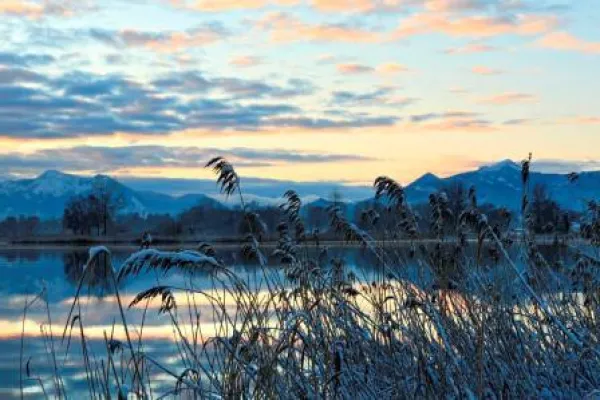 Bild: Hirschfütterung & Spurenlese auf der Herreninsel Die neuen Winterangebote 2015 / 2016 in Prien am Chiemsee