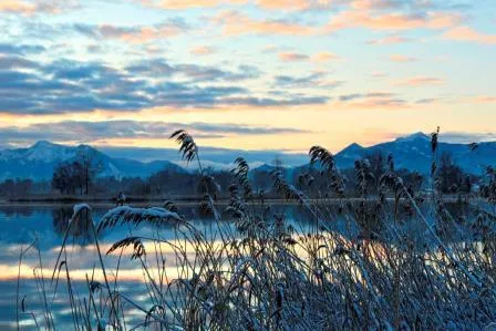 Bild: Hirschfütterung & Spurenlese auf der Herreninsel Die neuen Winterangebote 2015 / 2016 in Prien am Chiemsee