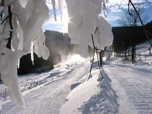 Bild: Neuschnee im Sauerland - Berghotel Hoher Knochen - Bewegung und Gemütlichkeit in verschneiter Natur