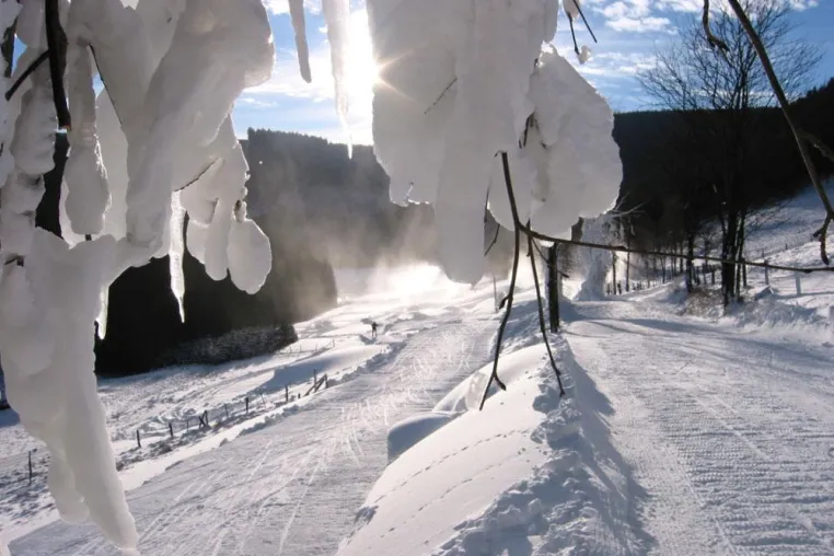 Bild: Neuschnee im Sauerland - Berghotel Hoher Knochen - Bewegung und Gemütlichkeit in verschneiter Natur