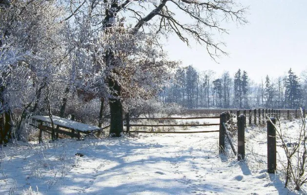 Bild: Winterurlaub am Nationalpark in Bayern