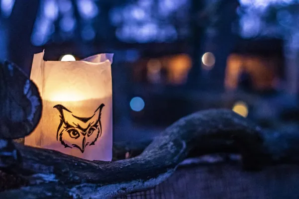 Bild: Stimmungsvolles Lichterfest im Wildpark Müden am 16.11.2019