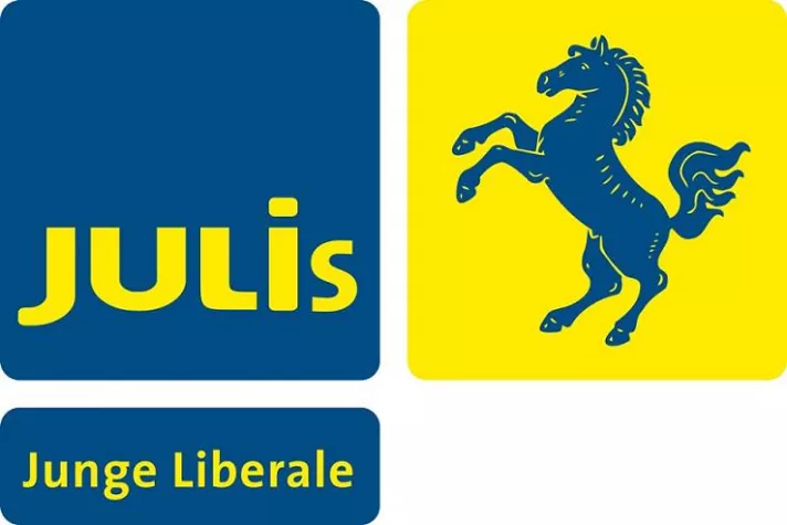 Bild: JuLis zur Demo 'Vielfalt statt Einfalt ' - "Toleranz kann man lernen"