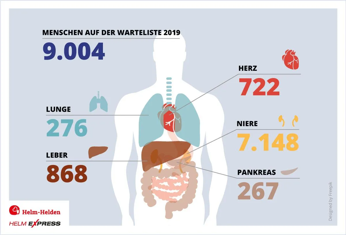 Infografik zu Organspende/ @helmexpress.com