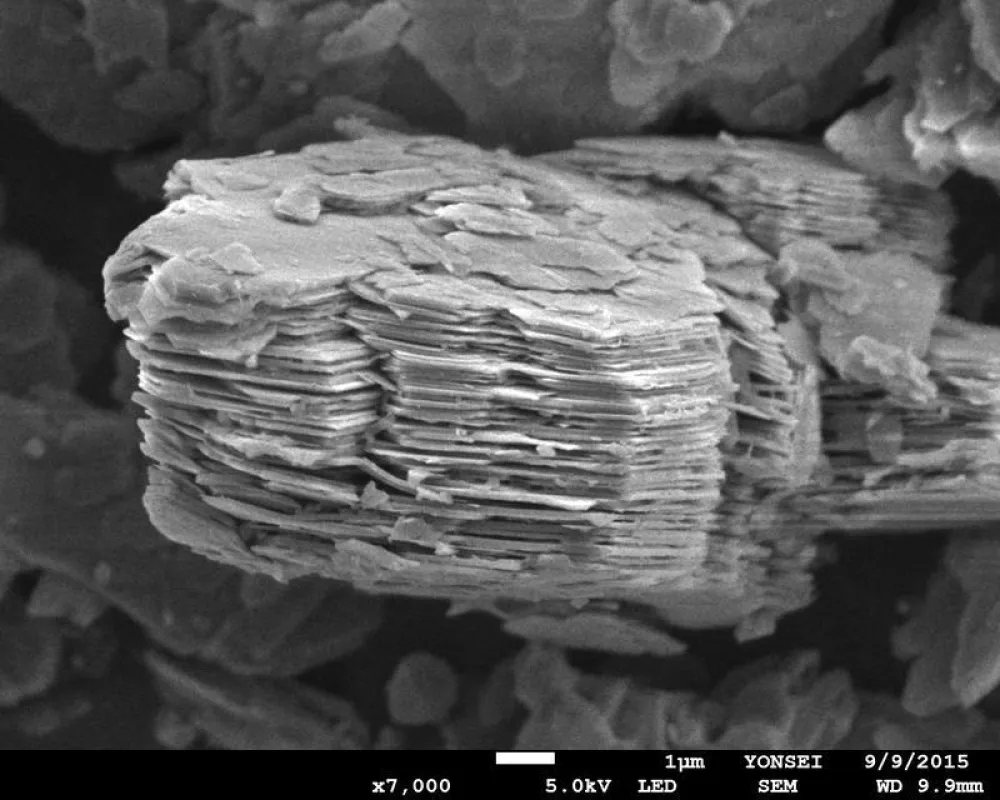 Gewöhnliches Kaolinit unter dem Elektronenmikroskop. (Bild: Yonsei-Universität, Yongjae Lee)