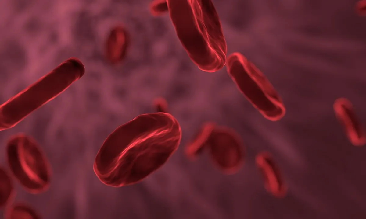 Alpha-Liponsäure fördert die Gesundheit der Blutgefäße