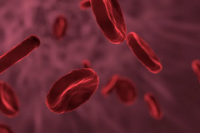 Bild: Alpha-Liponsäure fördert die Gesundheit der Blutgefäße