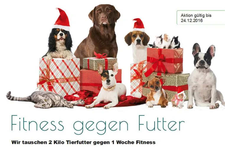Bild: Fitness für Futter im VITACAMPUS Physiotherapie & Fitness in Stuttgart