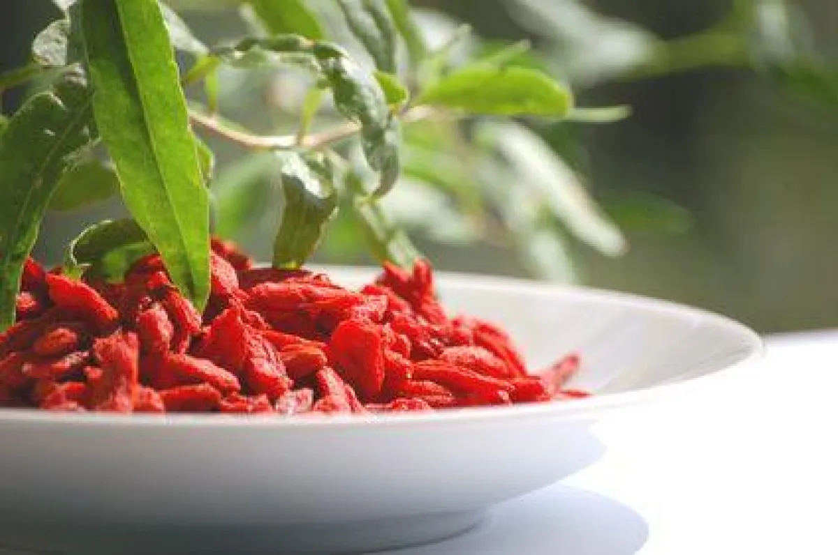 Goji Beeren aus Tibet
