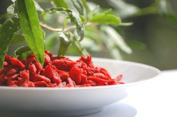 Gesund & vital durch den Winter dank Goji Bild: Gesund & vital durch den Winter dank Goji