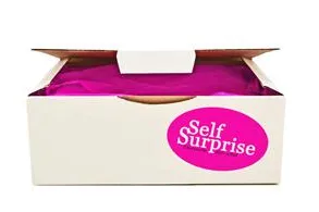 Bild: Was bietet die Überraschungsbox "SelfSurprise" nach dem Neustart
